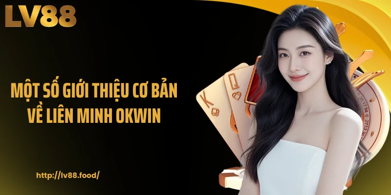 Một số giới thiệu cơ bản về liên minh OKWIN