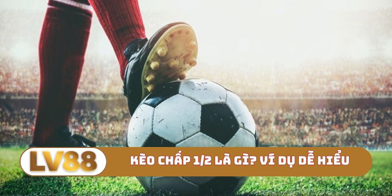 Kèo chấp 1/2 là gì? Ví dụ dễ hiểu