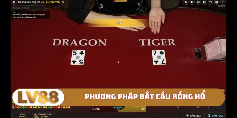 Phương pháp bắt cầu rồng hổ