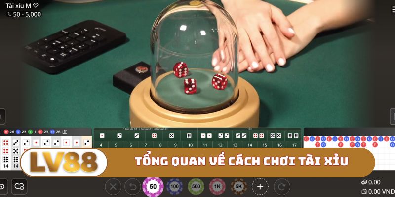 Tổng quan đôi nét về cách chơi tài xỉu